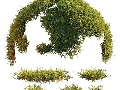 Lush Green Moss Various Decorative Forms Including Arch And Flat Patches For Natural Gardens 3d model
