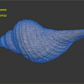 Detailed Pink Textured Conch Shell on Dark Background with Reflection