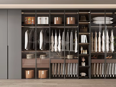 Modern Wardrobe Interior Organization With Hanging Rods Drawers Storage Bins And Glass Doors 3d model