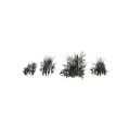 Various Green Dense Shrubs For Garden Landscaping And Plant Decoration