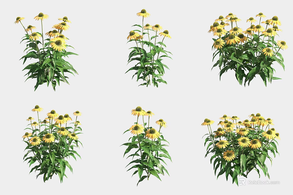 Vibrant Yellow Flowers With Green Leaves In Multiple Garden Displays 3d model 
