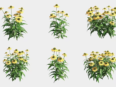 Vibrant Yellow Flowers With Green Leaves In Multiple Garden Displays 3d model