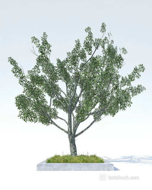 Lush Green Arbor With Thick Trunk And Dense Leafy Branches In Open Area 3d model