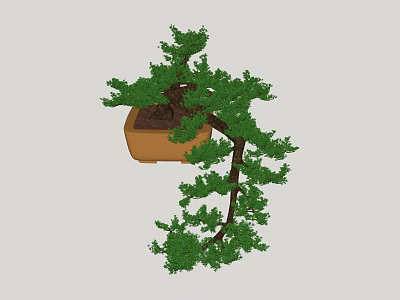 Artistic Bonsai Plant with Curved Branches and Green Foliage in Square Clay Pot 3d model