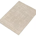 Modern Carpet Rectangular Carpet Fabric Carpet 3d model