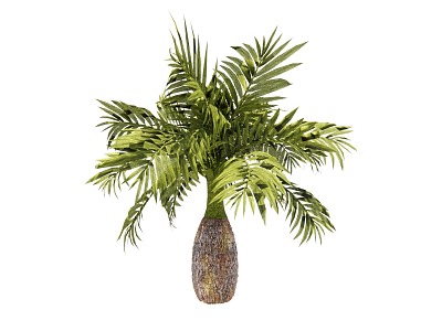 Wine Bottle Coconut Pineapple Tree Palm Tree model