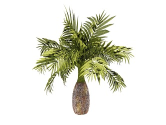 Wine Bottle Coconut Pineapple Tree Palm Tree 3d model