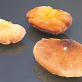 Dried Ganoderma Mushrooms With Brown Yellow Hues On Dark Background Surface