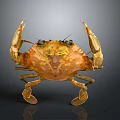 Realistic Golden Brown Crab With Raised Claws Shiny Exoskeleton On Dark Background