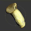 Fresh Brown Cap Mushroom With White Stem On Dark Reflective Background