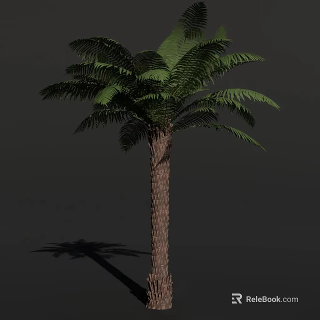 Tropical Arbor Palm Tree With Green Fronds And Brown Trunk In Natural View 3d model 