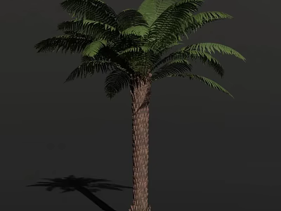 Tropical Arbor Palm Tree With Green Fronds And Brown Trunk In Natural View 3d model