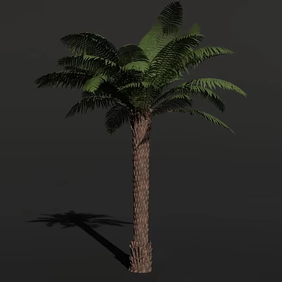 Tropical Arbor Palm Tree With Green Fronds And Brown Trunk In Natural View 3d model