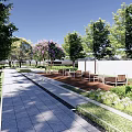 Modern Residential Landscape with Curved Pathway Lush Green Lawn Trees and Water Feature