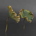 Green Aquatic Plants Lotus Leaves With Yellow Brown Edges And Slender Stems