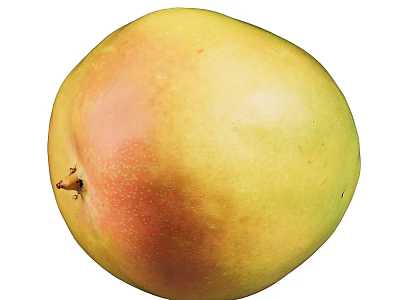Fresh Ripe Mango with Yellow and Red Smooth Skin Juicy Delicious Healthy Fruit 3d model