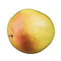 Fresh Ripe Mango with Yellow and Red Smooth Skin Juicy Delicious Healthy Fruit