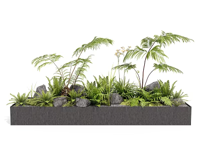 Lush Green Plants In Rectangular Planter With Stones And Fern Leaves 3d model