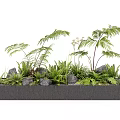 Lush Green Plants In Rectangular Planter With Stones And Fern Leaves