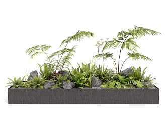 Modern plants Ferns Bonsai 3d model