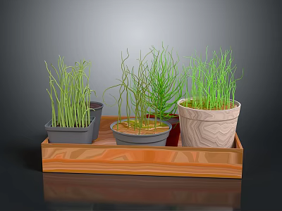 Decorative Potted Green Grass Plants in Wooden Tray with Various Planters 3d model