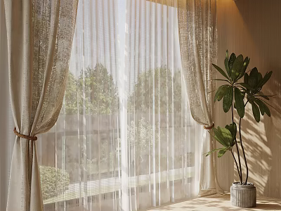 Light Beige Sheer Curtains With Natural Light And Green Plant By Window 3d model