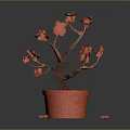Potted Plant With Red Flowers Brown Trunk Red Textured Pot And Scattered Red Petals
