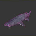 Realistic Blue Shark 3D Model Featuring Reflective Skin On Grey Background 3d model