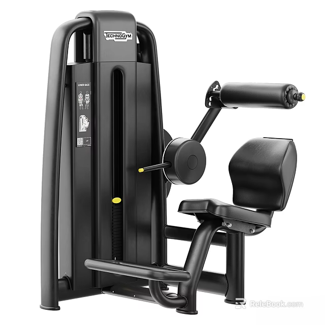 Black Frame Fitness Strength Training Equipment With Adjustable Seat Backrest And Exercise Handles 3d model 
