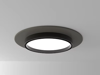 Modern Round Ceiling Light With Black Frame And White Light Surface Mounted on Ceiling 3d model