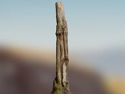 Wooden Trunk With Stone Base And Natural Rustic Texture For Outdoor Decor 3d model
