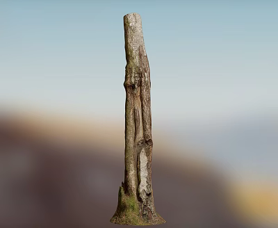 Wooden Trunk With Stone Base And Natural Rustic Texture For Outdoor Decor 3d model