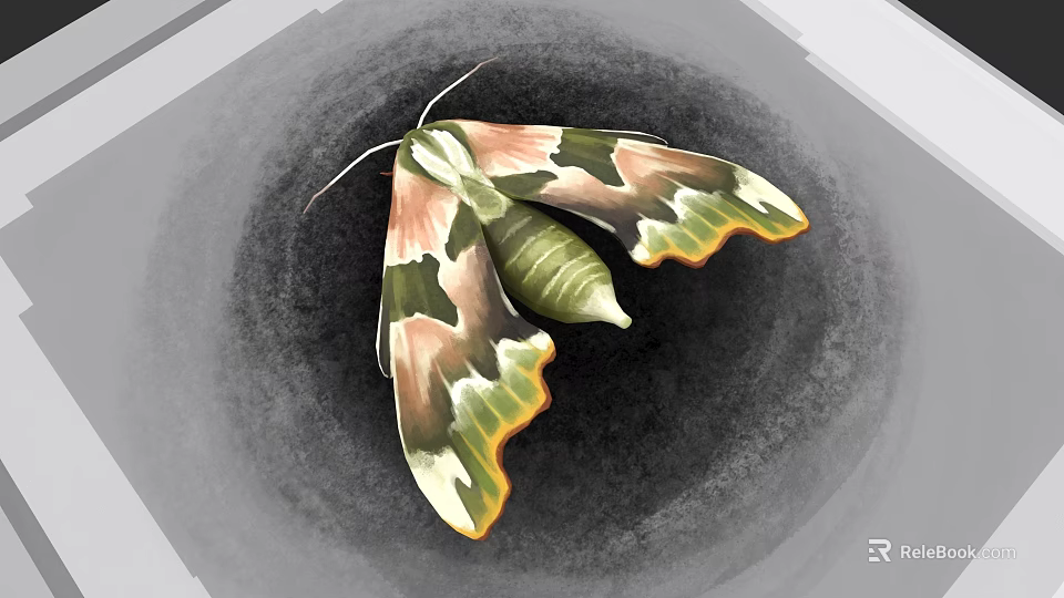 Vibrant Moth With Green Body And Pink Yellow Patterned Wings On Gray Background 3d model 