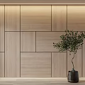 Modern Wooden Panel Wall Interior Design With Potted Green Plant And Natural Elements