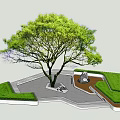 Modern Outdoor Landscape Seats With Large Tree Green Lawn And Paved Ground