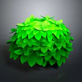 Vibrant Green Leafy Round Shaped Plant With Lush Foliage And Round Structure On Dark Background