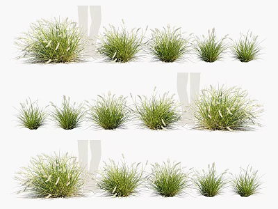 Various Green Grasses in Multiple Clumps with Different Forms Arranged Naturally 3d model