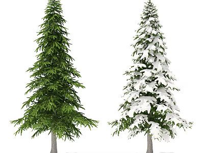 Evergreen Tree with Lush Green Foliage and Snow Covered Winter Version 3d model