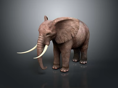 Realistic Elephant With Long Tusks Large Ears And Rough Skin On Dark Background 3d model