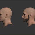 Male Head Models With Bald Heads And Various Facial Features
