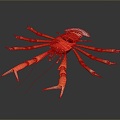 Australian rock lobster Macrobrachium prawn black and white lobster crayfish crayfish green lobster red crab shrimp European blue dragon 3d model