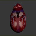 Human Heart as Thoracic Organ 3D Rendered Anatomical Model with Blue Blood Vessels