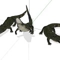 Modern Crocodile 3d model