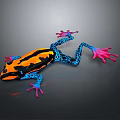 Vibrant Reptile With Orange Blue And Pink Patterned Body On Dark Background
