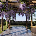 Beautiful Garden Pergola Adorned With Purple Wisteria Flowers And Wooden Posts On Green Lawn