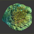 Vibrant Branching Yellow Plant With Green Textured Base And Natural Structure Design