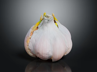 Fresh Garlic Bulb with Papery Skin and Green Shoots on Black Reflective Surface 3d model