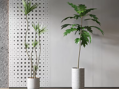 Various Green Potted Plants In White Cylindrical Pots For Modern Interior 3d model