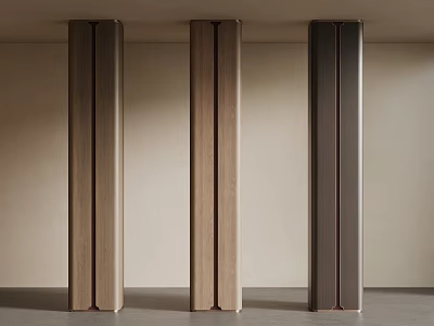 Three Modern Wooden And Dark Colored Columns In Minimalist Interior Design 3d model
