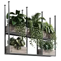 Multi Tiered Metal Shelf With Various Potted Plants For Indoor Greenery